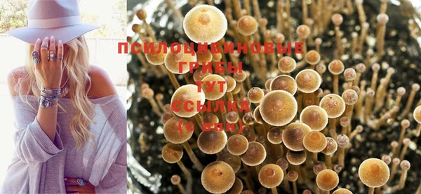 ешки Зеленокумск