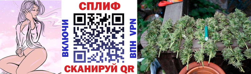 Купить где  Шимановск  Канабис Ganja 
